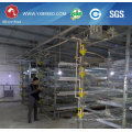 Farm Equipment Poultry Battery Cages for Broiler Chicken